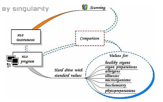 HOW DOES 3D-NLS  WORK?