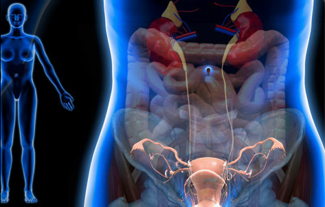 Whats causing your pelvic pain?