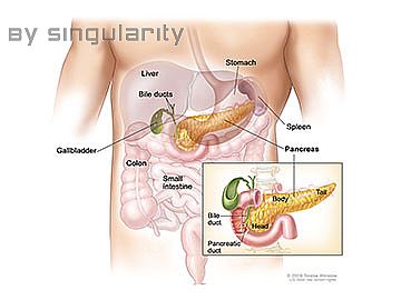 Bioplasm NLS can scan pancreatic cancer?