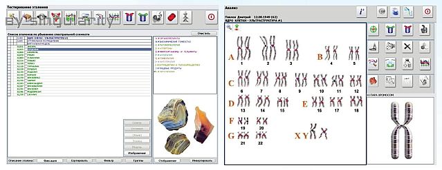 Why use Metatron 4025 Hunter Health diagnostics system ?